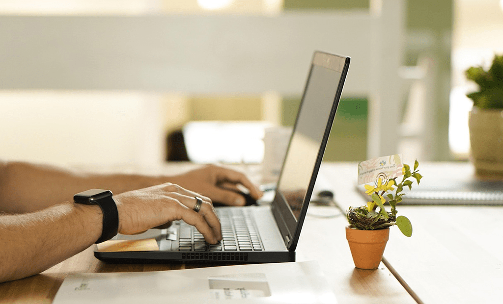Termômetro. Pessoa usando um laptop em uma mesa clara, com um pequeno vaso de planta ao lado.